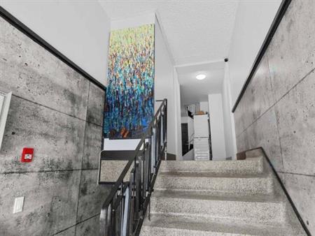 3 1/2 - Montréal (Le Plateau Mont-Royal) - 1 395 $/mois