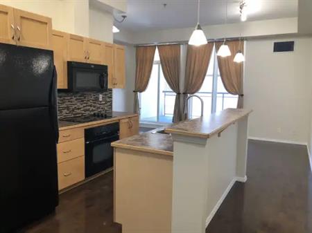 Immaculate One Bedroom Condo Downtown | 214 - 10147 112 St NW, Edmonton