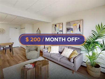 218 Maclaren | 218 Maclaren Street, Ottawa