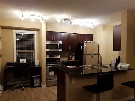 Beside bus stop! 5min to Superstore! School accross the street! | 302 - 3211 James Mowatt Trail SW, Edmonton