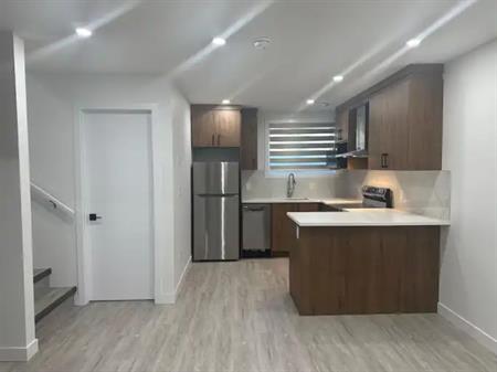 Bright Legal Basement Suite | 1 Bedroom | Private Entrance | Savanna NE Calgary | Calgary