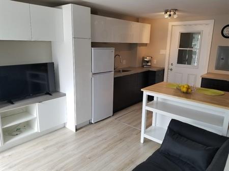 JANVIER Coquet 3.5+bur. meublé hydro inclus - personne seule