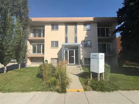 Beautiful 1 Bed in Crescent Height | Calgary