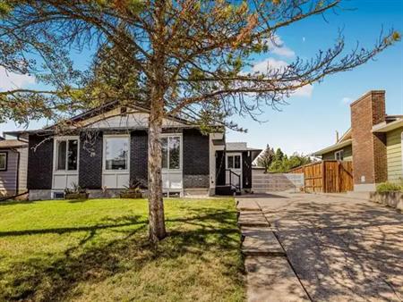 2 Bedroom Spacious Basement With 1 full Bathroom | Calgary