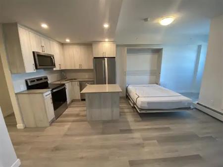 Brand New Studio Apartment in the Beltline Downtown Calgary! | 1400 10 Avenue Southwest, Calgary