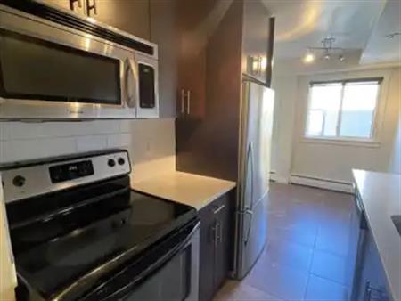 1 BHK Condo Available - Aug 1st | 1230 Cameron Ave SW, Calgary