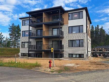 4 1/2 Appartements neuf à louer - Mauricie