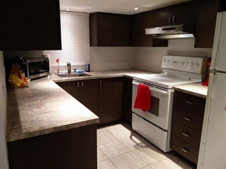 Grand 3 1/2 Rénové de 800 pi² à Villeray