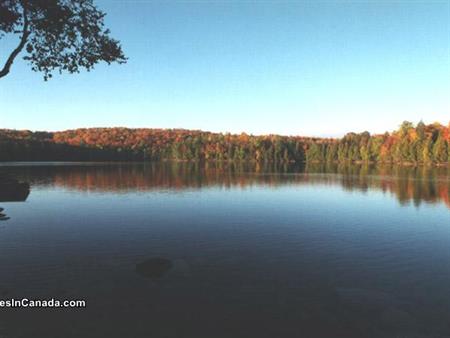 Hector Lake