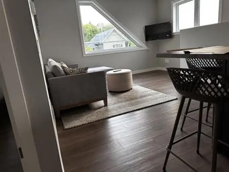 Parkallen 1 Bedroom Treehouse | 11232 70 Avenue Northwest, Edmonton