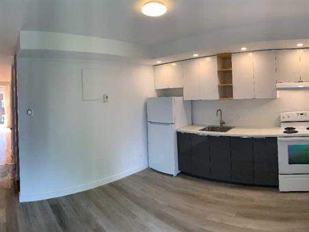 APPARTEMENT STYLE LOFT | CUISINE RÉNOVÉ | VILLERAY