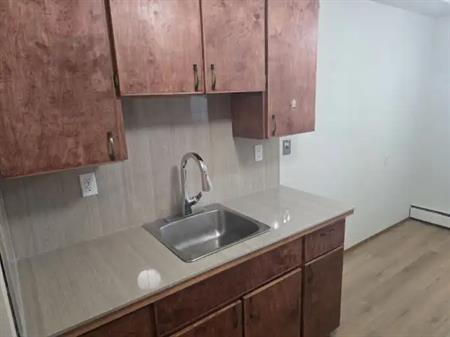 Renovated like new, 2 bedroom unit for lease at University Avenue | Edmonton