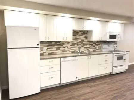 Renod 3BR Walkout Legal Bsmt NEAR LRT-Newer kitchen/bath/floors/window-Pets ok | 31 Whitmire Road Northeast, Calgary
