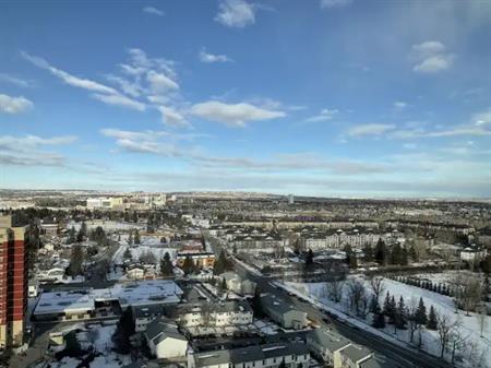 2 Bedroom Condo for Rent | 2006 - 77 Spruce Place SW, Calgary