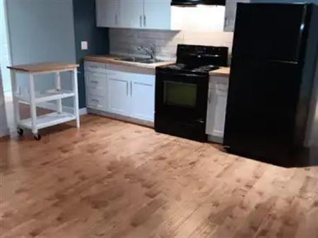 One Bedroom Basement Suite in Silverado | Calgary