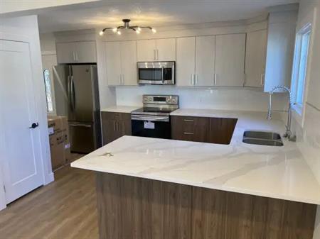 Stunning 3 Bedroom Duplex in McCauley | A - 9217 110A Ave NW, Edmonton