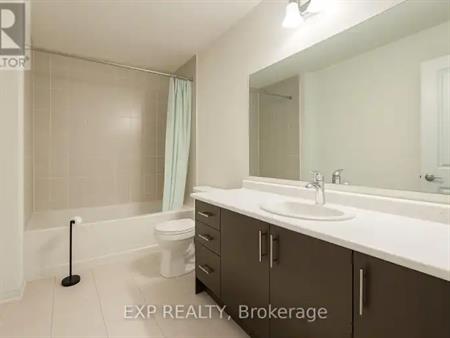 21 STEADMAN STREET | 21 STEADMAN Street, Cambridge