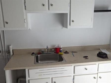 3.5 dans quartier Rosemont