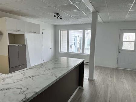 Logement 4½ à louer à Luceville