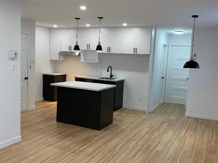 Logement 3 1/2 rénové à neuf disponible