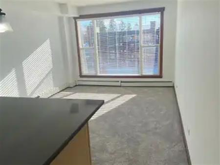 Top Floor, South Facing, One Bedroom Apartment - Kingsland | 308 - 920 68 Avenue Southwest, Calgary