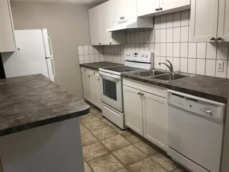 Beautiful 2-Bedroom LEGAL Basement Suite – Haysboro | Calgary