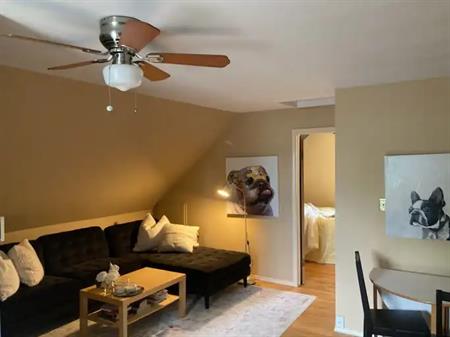 Cozy One Bedroom Suite Partially Furnished Near U of A | 9803-69 Ave, Edmonton