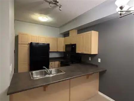 DOWNTOWN 2-BEDROOM CONDO - AVAILABLE IMMEDIATELY | 403 - 10606 102 Ave, Edmonton