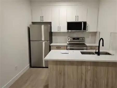 Modern and Spacious 1 Bedroom Basement Suite - 1200 monthly for rent | 3108 Magpie Way Northwest, Edmonton