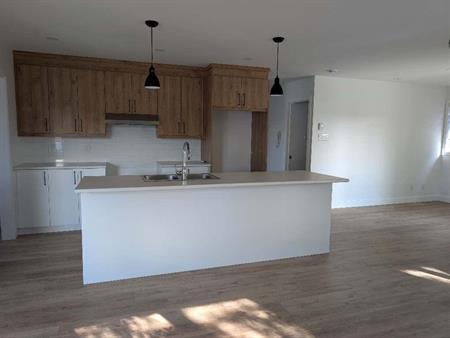 Magnifique 6 1/2 lumineux construction 2025