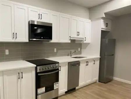 Modern 1 Bedroom Basement Suite – Legacy, Calgary | Legacy Pass SE, Calgary