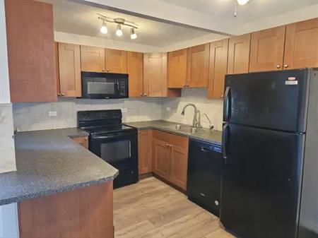 HALF DAMAGE DEPOSIT | 3b - 519 17 ave sw, Calgary