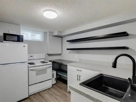Newly renovated LEGAL Basement Suite 1bd/1bth w/separate LOCKED Storage Room | Calgary