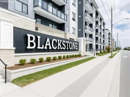 251 NORTHFIELD Drive E Unit# 221 | 251 NORTHFIELD Drive E Unit# 221, Waterloo
