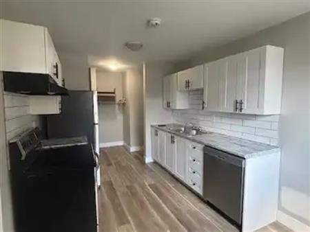Beautifully Renovated Large 2 bedroom 1 Bathroom Unit For Rent | 1A - 12015 82 Street Northwest, Edmonton