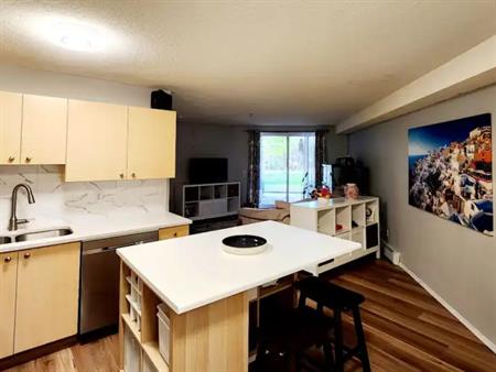 Beautiful 1 Bedroom Condo | 2106 - 2280 68 Street Northeast, Calgary