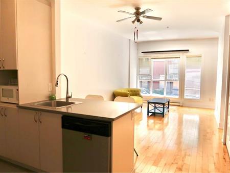 Charmant condo downtown Montreal