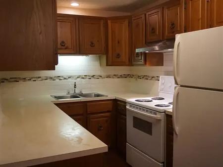 Newly Renovated, Spacious ,Cozy, Two Bedroom/one bathroom  for Rent | 430 12ave NE, Calgary