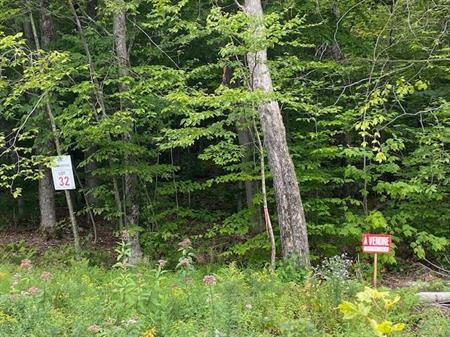 Terrain de 43 000pc à vendre dans les Laurentides