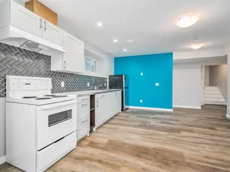 Exquisite 1 Bed  +  Den Basement Suite | Calgary