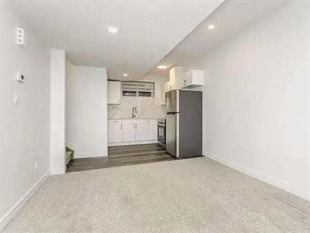 One-bedroom basement available for rent starting mid September 2024 or 1st Oct. | Edmonton