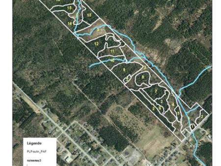 Terrain 84 acre St-Cyprien de Bellechasse