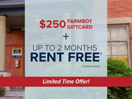 149 MacLaren | 149 MacLaren Street, Ottawa