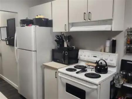 Spacious 3 Bedroom Unit with Private Entrance & Fenced Yard (PN1044A) | 8395 29 Ave Nw, Edmonton