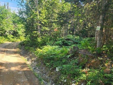 Lot forestier 55ha