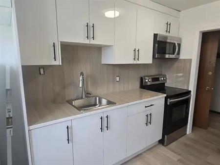 Renovated like new, 2 bedroom unit for lease at University Avenue | Edmonton
