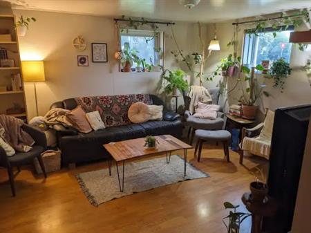 Cozy 1 Bedroom Basement Suite in Hazeldean | 9803 69 Avenue Northwest, Edmonton