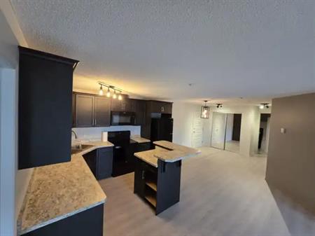 Large 2 bedroom condo in a quiet building | 307 - 6070 Schonsee Way, Edmonton