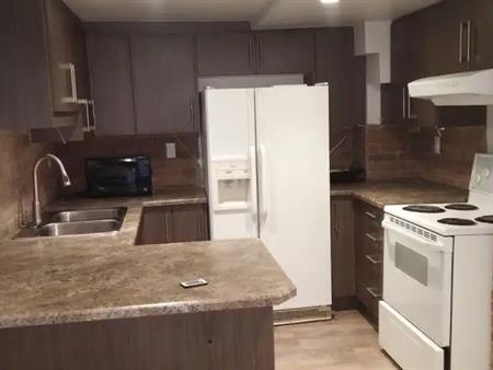 Full kitchen suite in the basement of a house. 1 bedroom, 1 bathroom | 11552 95 Street, Edmonton