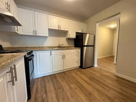 609- 455 Sandys Street-  50% discount on One month’s rent | 455 Sandys Street, Chatham